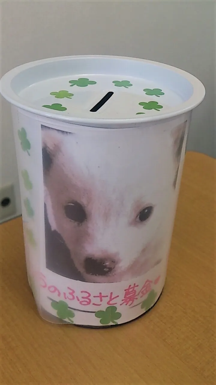 ０を目指して一歩ずつ！（写真2）