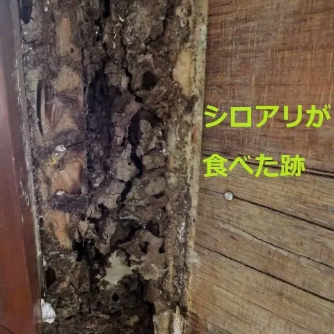 雨漏りを放置するのはNG！雨漏りの症状や二次被害について（写真4）