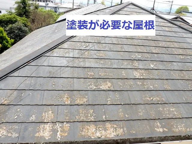 雨漏りを放置するのはNG！雨漏りの症状や二次被害について（写真2）