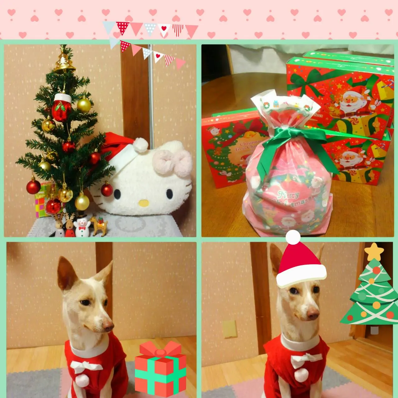 🎅✨MaryChristmas✨🎄（写真2）