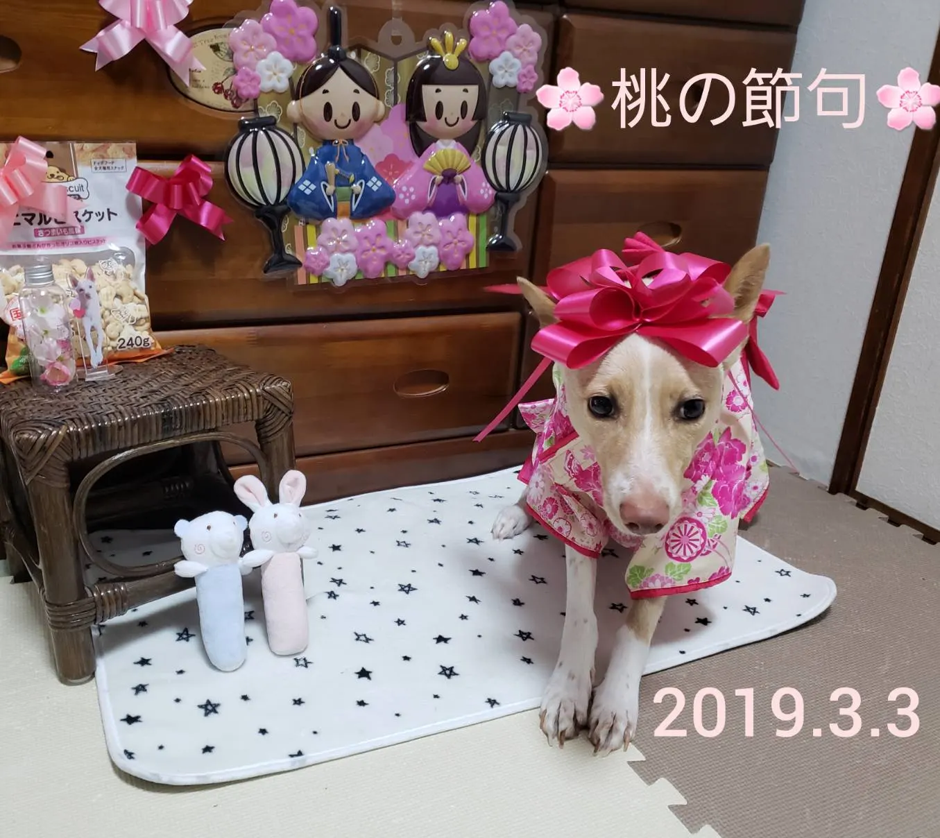1日遅れの🎎ひな祭り🌸（写真1）