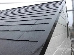屋根塗装工事-大阪市淀川区 A様邸②:施工事例252